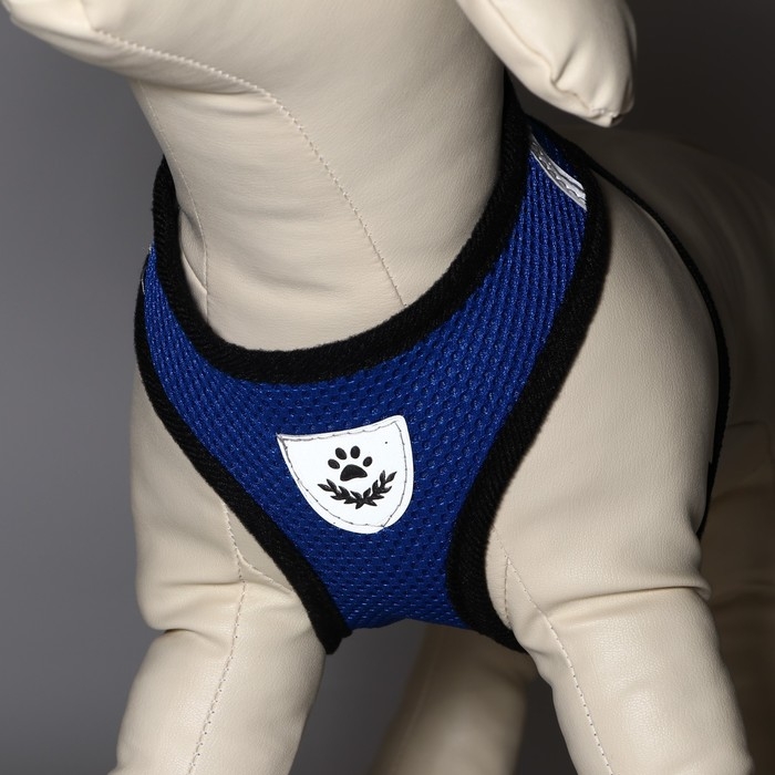 Комплект амуниции со светоотражающей нашивкой, S, ОШ 24 см, ОГ 28-33 см, синий Комплект амуниции со светоотражающей нашивкой, S, ОШ 24 см, ОГ 28-33 см, синий