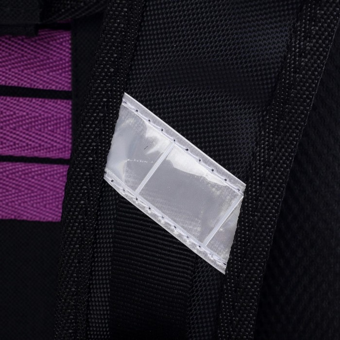 Рюкзак каркасный школьный 38 х 30 х 16 см, эргономичная спинка, Stavia "Тильда", голубой/сиреневый/серый