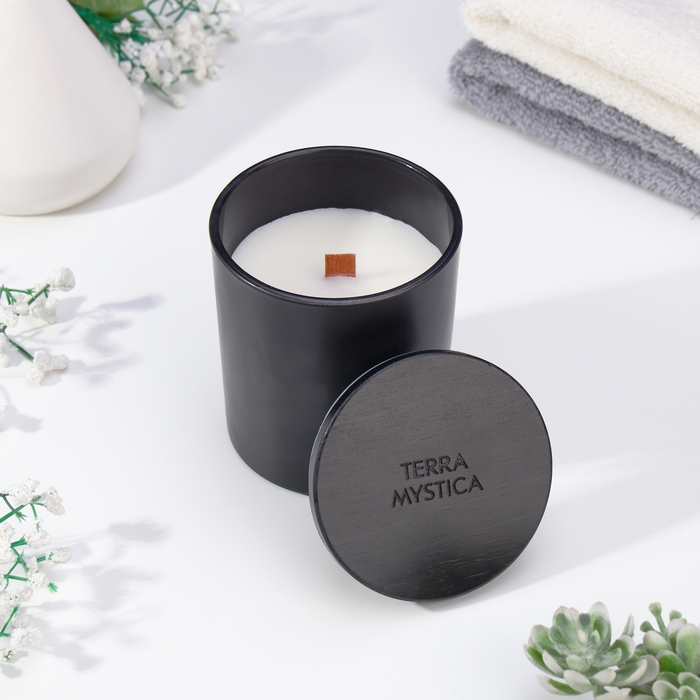 Ароматическая свеча  Ароматическая свеча "Breesal, TERRA MYSTICA", Бобы тонка, Ваниль, Грейпфрут