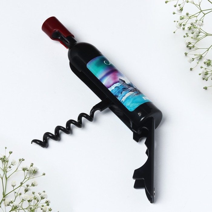 Магнит-открывашка «Мурманск», 2,5 х 11,8 х 2,5 см Магнит-открывашка «Мурманск», 2,5 х 11,8 х 2,5 см