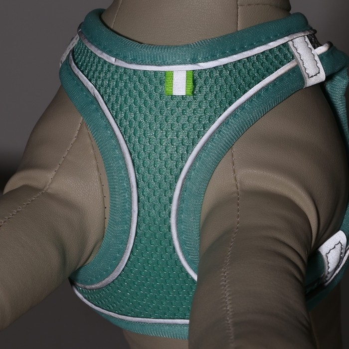 Комплект с мягкой шлейкой, быстросъемный, XS, поводок 150 х1,5 см, ОШ 29-32 ОГ 31-34 см, бирюзовый Комплект с мягкой шлейкой, быстросъемный, XS, поводок 150 х1,5 см, ОШ 29-32 ОГ 31-34 см, бирюзовый