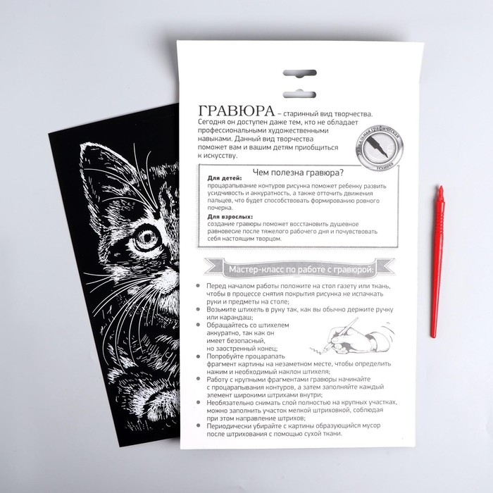 Гравюра «Котёнок» с металлическим эффектом «серебро» А4 Гравюра «Котёнок» с металлическим эффектом «серебро» А4