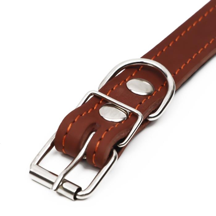 Ошейник кожаный на синтепоне, 56 х 2.5 см, ОШ 35-45 см, коричневый Ошейник кожаный на синтепоне, 56 х 2.5 см, ОШ 35-45 см, коричневый