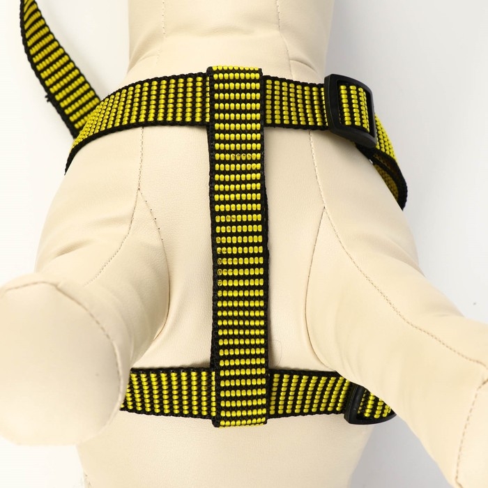 Комплект амуниции рельефный, поводок 120 х 2 см, ОГ 44-50 см, жёлто-чёрный Комплект амуниции рельефный, поводок 120 х 2 см, ОГ 44-50 см, жёлто-чёрный