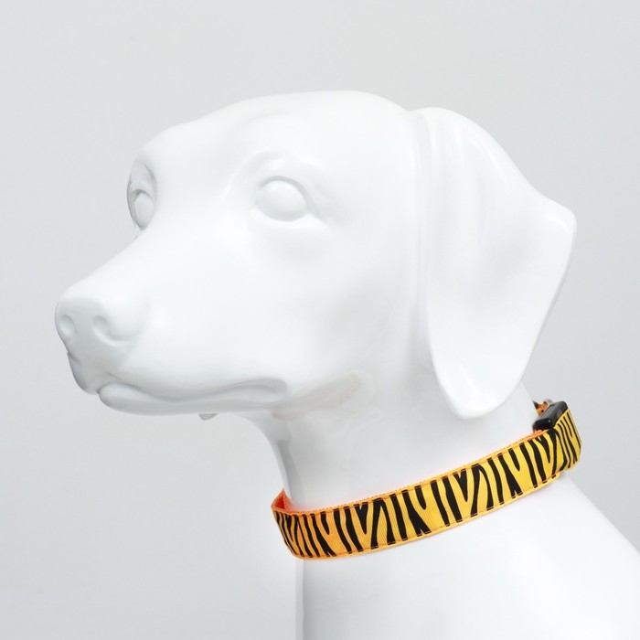 Ошейник с подсветкой Тигр 3 режима свечения размер XL, ОШ 60-70 х 2,5 см оранжевый Ошейник с подсветкой Тигр 3 режима свечения размер XL, ОШ 60-70 х 2,5 см оранжевый