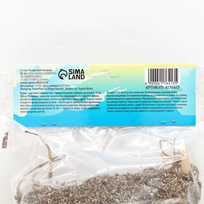 Лилия Чалмовидная "Мисс Фея", р-р 12/14, 3 шт,