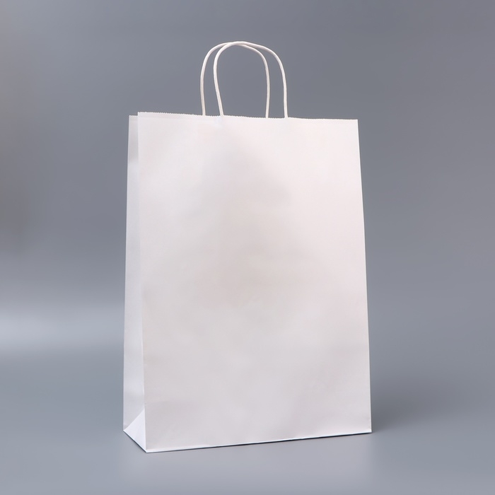 Пакет белый без печати, круглая ручка, 31 х 12 х 42 см, 120 г Пакет белый без печати, круглая ручка, 31 х 12 х 42 см, 120 г