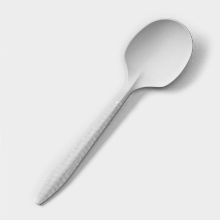 Набор одноразовых ложек из кукурузного крахмала Nature, 14 см, 6 шт Набор одноразовых ложек из кукурузного крахмала Nature, 14 см, 6 шт