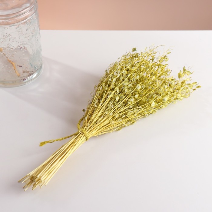 Набор сухоцветов Набор сухоцветов "Монетник", банч длина 60 (+/- 6 см), зелёный