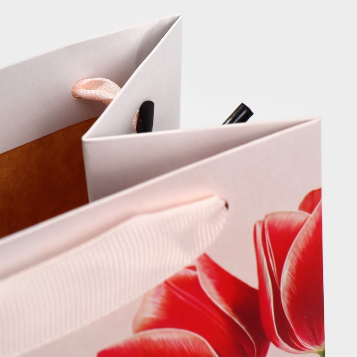 Пакет подарочный под бутылку, упаковка, «С праздником весны», 13 х 36 х 10 см Пакет подарочный под бутылку, упаковка, «С праздником весны», 13 х 36 х 10 см