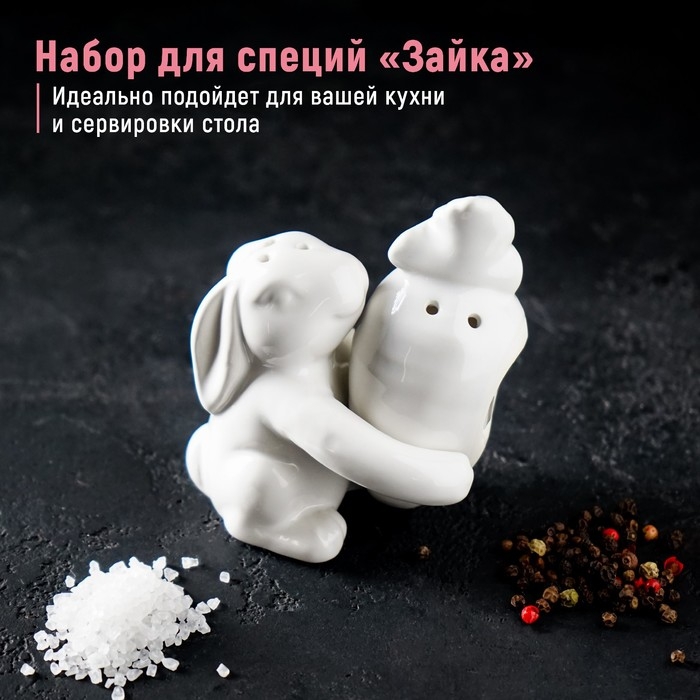 Набор для специй Доляна «Зайка», 2 предмета: солонка 50 мл, перечница 40 мл, цвет белый Набор для специй Доляна «Зайка», 2 предмета: солонка 50 мл, перечница 40 мл, цвет белый