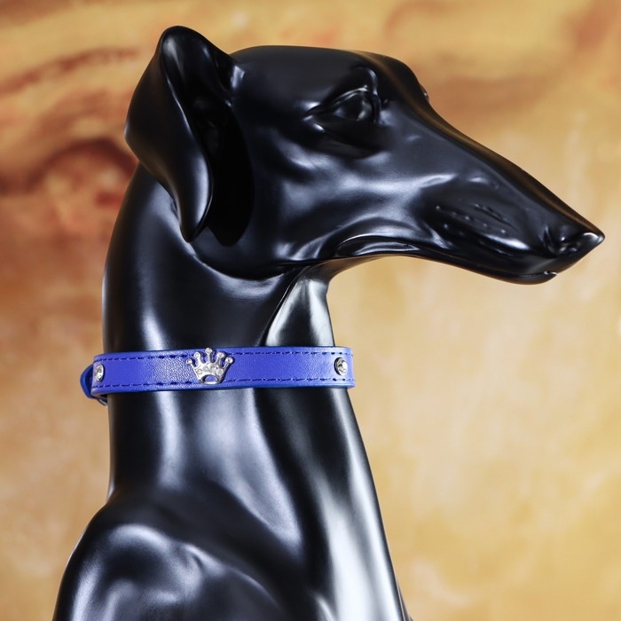 Ошейник Ошейник "Корона" с металлическим декором и со стразами, 36 х 1,4 см, ОШ 24-31, синий