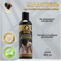 Шампунь-кондиционер &laquo;Пижон Premium&raquo;, 250 мл, гипоаллергенный, для бесшёрстных собак и кошек
