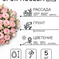 Семена цветов Эустома &laquo;ABC Мисти пинк&raquo; F1, 5 шт., &laquo;Агросидстрейд&raquo;