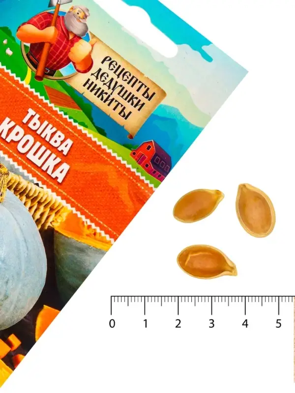 Семена Тыква  Семена Тыква "Крошка", 1 г