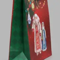 Пакет подарочный ламинированный &laquo;Дед Мороз и Снегурочка&raquo;, M 26&times;32&times;12 см