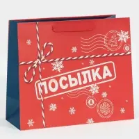 Пакет подарочный новогодний ламинированный &laquo;Посылка для тебя&raquo;, MS 18 х 23 х 10 см