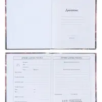 Дневник школьный для 1-4 классов, &laquo;Светящийся лисёнок&raquo;, твёрдая обложка 7БЦ, матовая ламинация, 48 листов