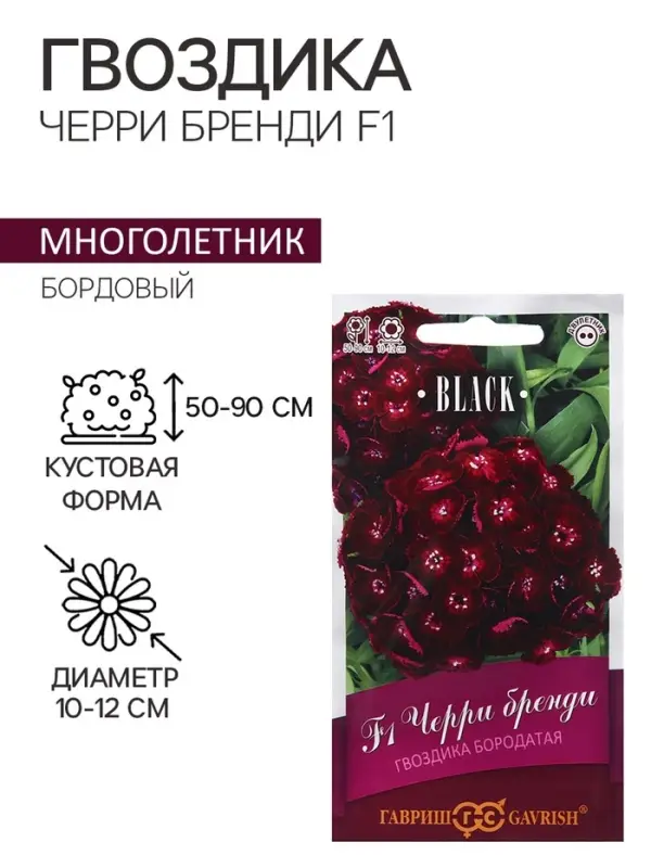 Семена цветов Гвоздика бородатая &laquo;Черри бренди&raquo;, F1, 4 шт., двулетник, &laquo;Гавриш&raquo;