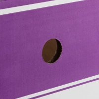 Короб архивный со съемной крышкой размер 320х240х160