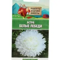 Семена цветов Астра "Белые лебеди "0.2 г