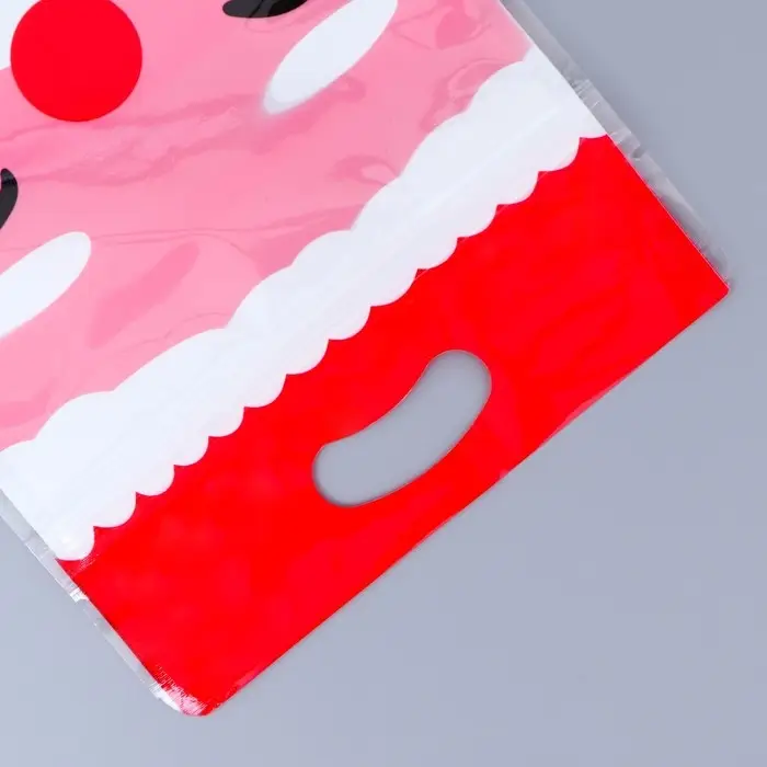 Пакет подарочный, с zip-lock застежкой,  Пакет подарочный, с zip-lock застежкой, "Дед Мороз", 15х23 ± 1см.