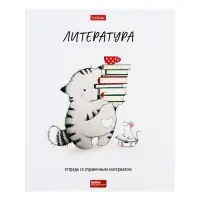 Тетрадь 48 листов в линию &laquo;Приключения кота Пирожка&raquo; ЛИТЕРАТУРА, обложка мелованная бумага, с интерактивным справочником, блок офсет
