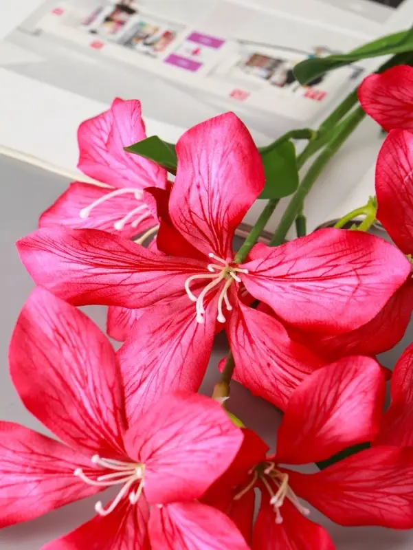 Цветы искусственные "Баухиния пёстрая" d-13 см 71 см, малиновый