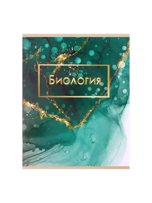 Тетради предметные Calligrata &laquo;Мрамор светлый&raquo;, 10 предметов, 48 листов, со справочным материалом, обложка из мелованного картона