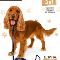 Ринговка для собак, 150&times;0.6 см, с вертлюгом, синяя, чёрная