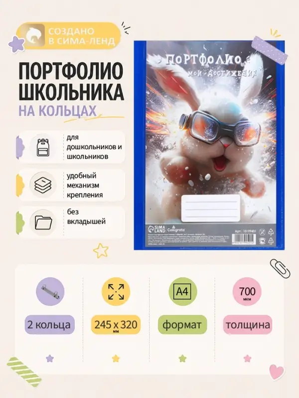 Папка-портфолио А4, Calligrata &laquo;Гонщик&raquo;, пластиковая, на 2 кольцах, без вкладышей