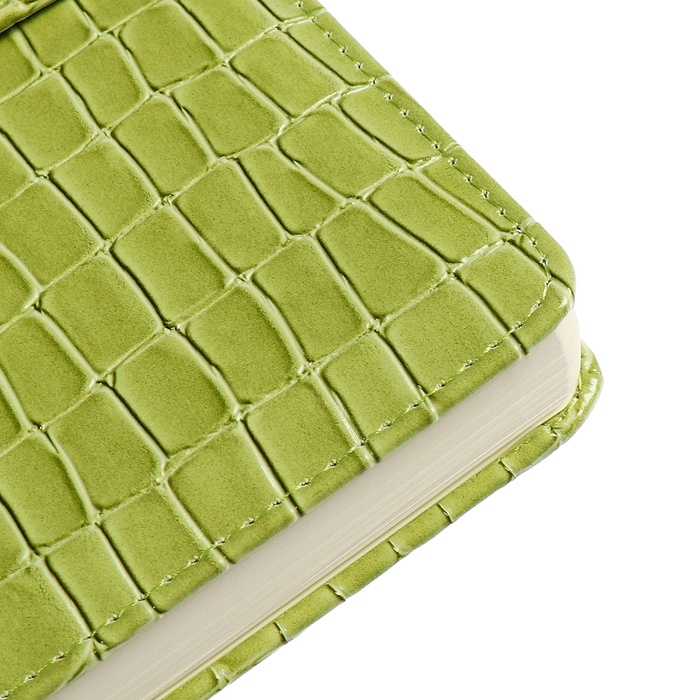 Ежедневник датированный 2025 года, A5, 168 листов, deVENTE. Barbara, твердая обложка кожзам с поролоном, перфорацией, ляссе, блок 70, зеленый Ежедневник датированный 2025 года, A5, 168 листов, deVENTE. Barbara, твердая обложка кожзам с поролоном, перфорацией, ляссе, блок 70, зеленый