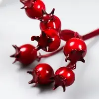 Декор для творчества "Ирга красная" 5,5 см