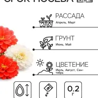 Семена цветов Георгина махровая &laquo;Опера&raquo;, 0.2 г, &laquo;Рецепты дедушки Никиты&raquo;