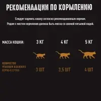 Влажный корм Crave для кошек, пауч лосось  в желе 70г Влажный корм Crave для кошек, пауч лосось  в желе 70г