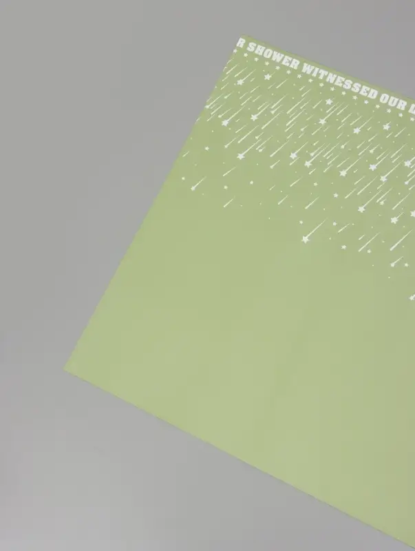 Пленка флористическая для цветов &laquo;Звездопад&raquo;, нежно-зелёная, 57&times;57 см