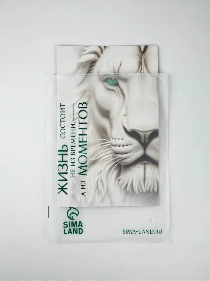 Пакет подарочный «Новогодняя сказка», с очками, 31 × 11 × 40 см Пакет подарочный «Новогодняя сказка», с очками, 31 × 11 × 40 см