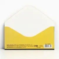 Конверт для денег «С Днём Рождения», 16.5×8 см