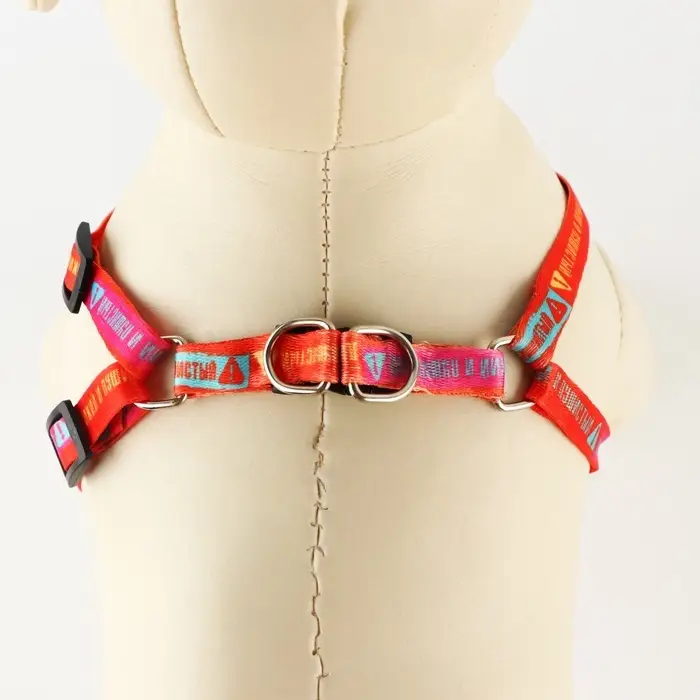 Поводок «Дикий и пушистый» 120×1 см, шлейка 24-36 см