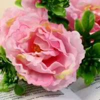 Цветы искусственные &laquo;Пион ветка&raquo;, h=36 см, d=6 см, розовые