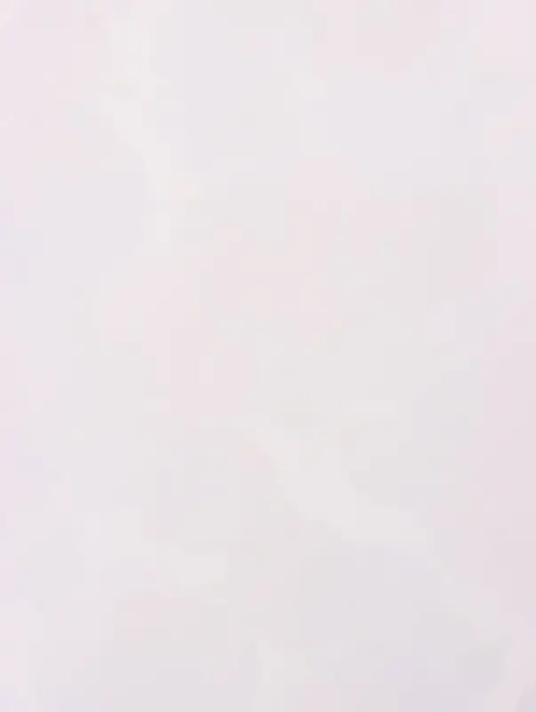 Пленка для цветов, &laquo;Розы&raquo;, белая, 57&times;57 см