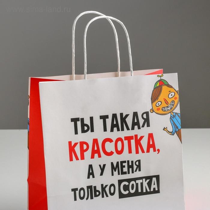Пакет подарочный, упаковка, «Красотка», 22 х 22 х 11 см Пакет подарочный, упаковка, «Красотка», 22 х 22 х 11 см