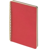 Бизнес-тетрадь А5 60л клет BrunoVisconti PRAGMATIC красн,греб 7-60-1255/05