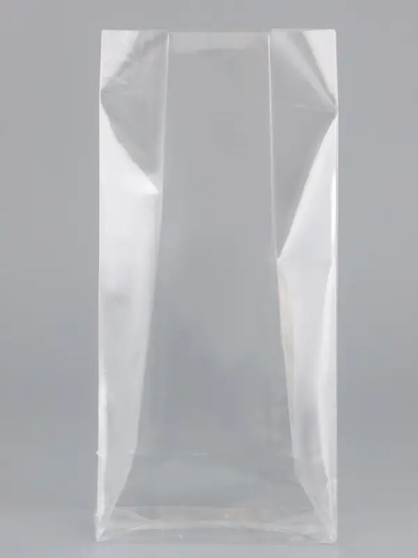 Пакет полипропиленовый фасовочный, прямоугольное дно, прозрачный, 9&times;5&times;19 см