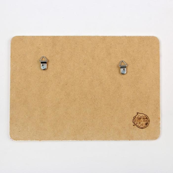 Органайзер настенный пробковый «Извини, я занята», 26,3 х 18,3 см Органайзер настенный пробковый «Извини, я занята», 26,3 х 18,3 см