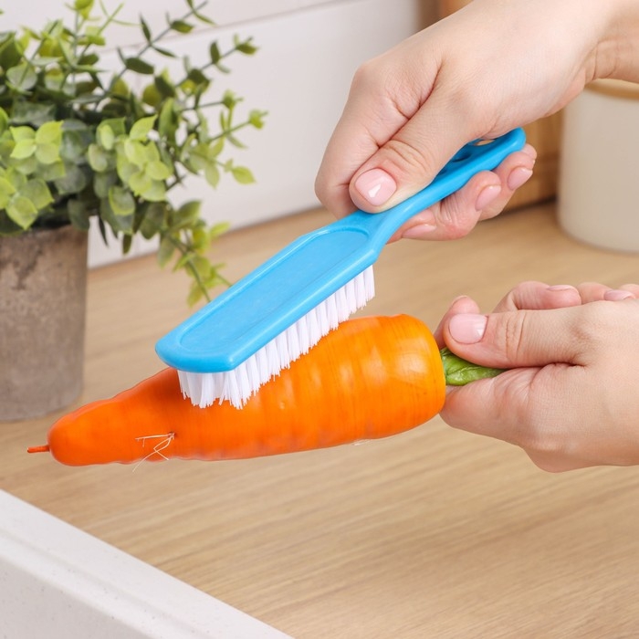 Щётка для овощей и фруктов с ручкой Доляна, 17×3,3×2 см, цвет МИКС Щётка для овощей и фруктов с ручкой Доляна, 17×3,3×2 см, цвет МИКС