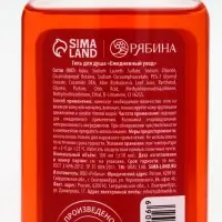 URAL LAB Арома Саунд Набор два геля для душа, 2х100 и мочалка для тела, яблоко и глинтвейн