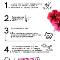 Семена цветов Петуния Суперкаскадная &laquo;Бургунди&raquo;, F1, 7 шт., &laquo;Семена Алтая&raquo;