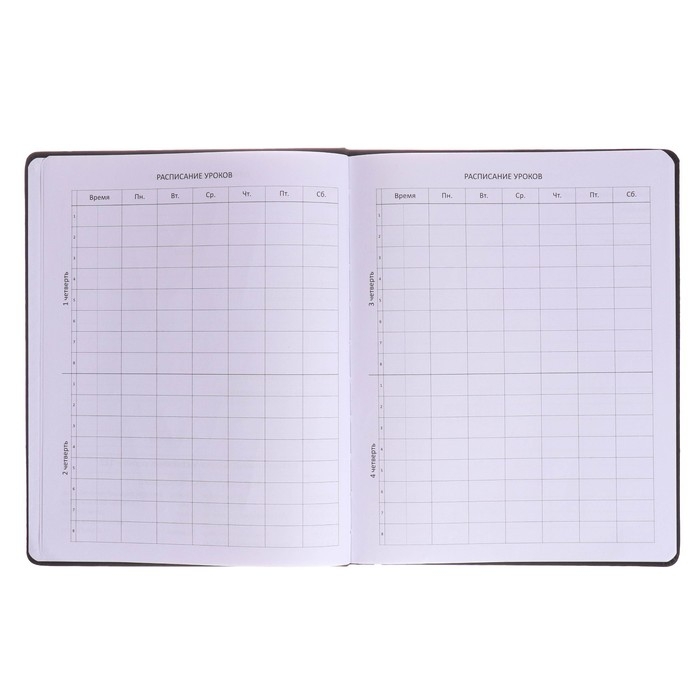 Дневник универсальный для 1-11 класса WOW, твёрдая обложка, искусственная кожа, тиснение фольгой, ляссе, 80 г/м2