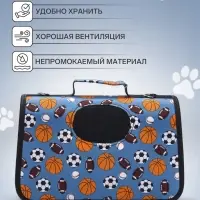 Сумка - переноска для животных &laquo;Спорт&raquo;, размер S, 37.5&times;17&times;22 см, голубая